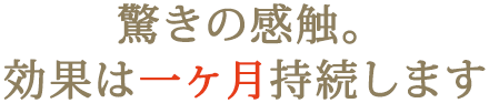 驚きの感触。効果は一ヶ月持続します